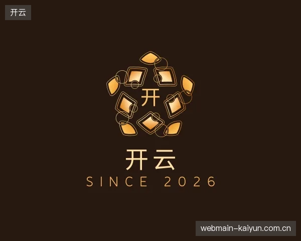 关于开云团队